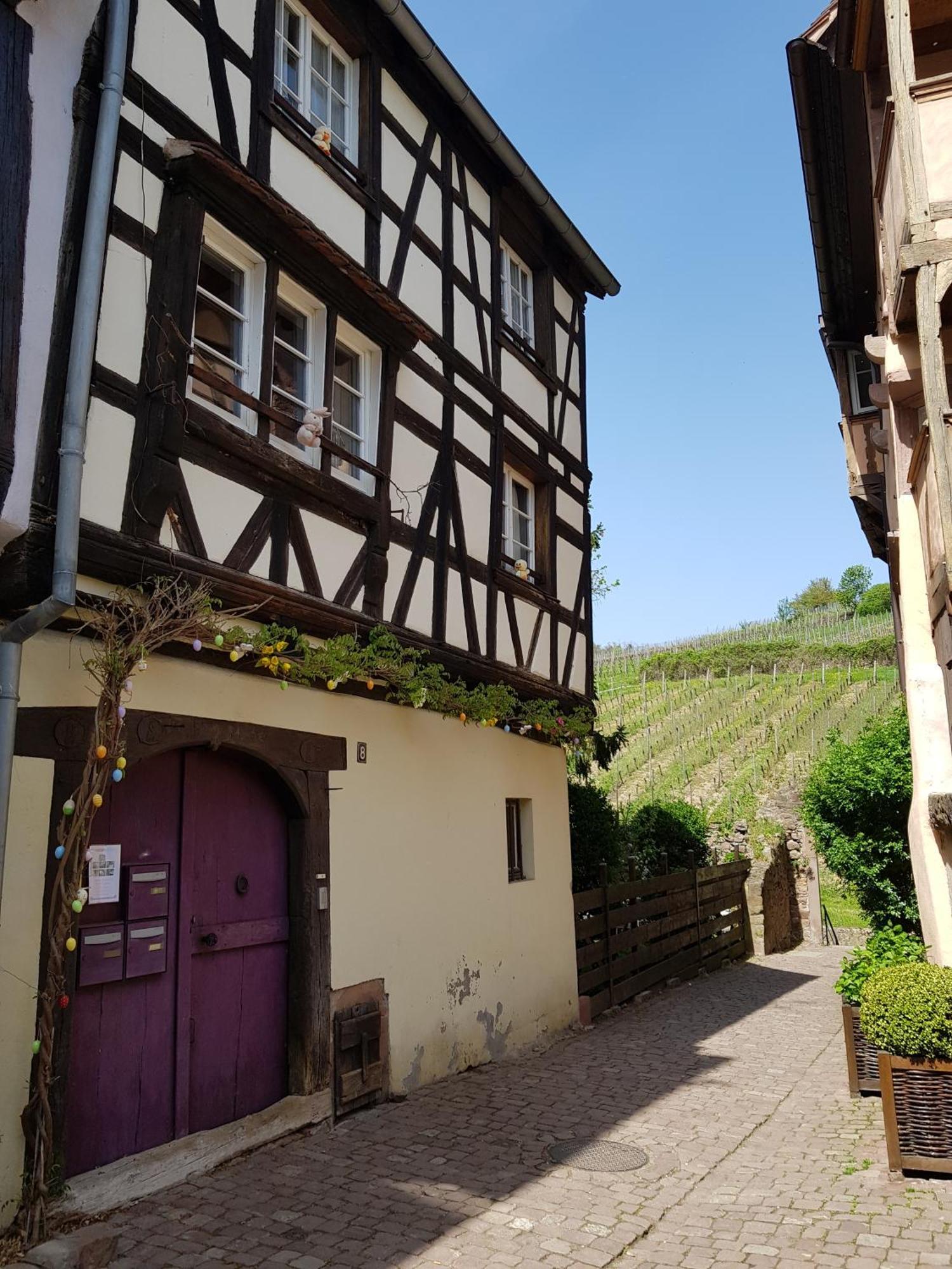 La Maison Vigneronne Riquewihr Exterior photo